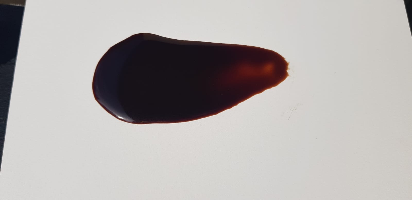 Salsa Chocoavellanas