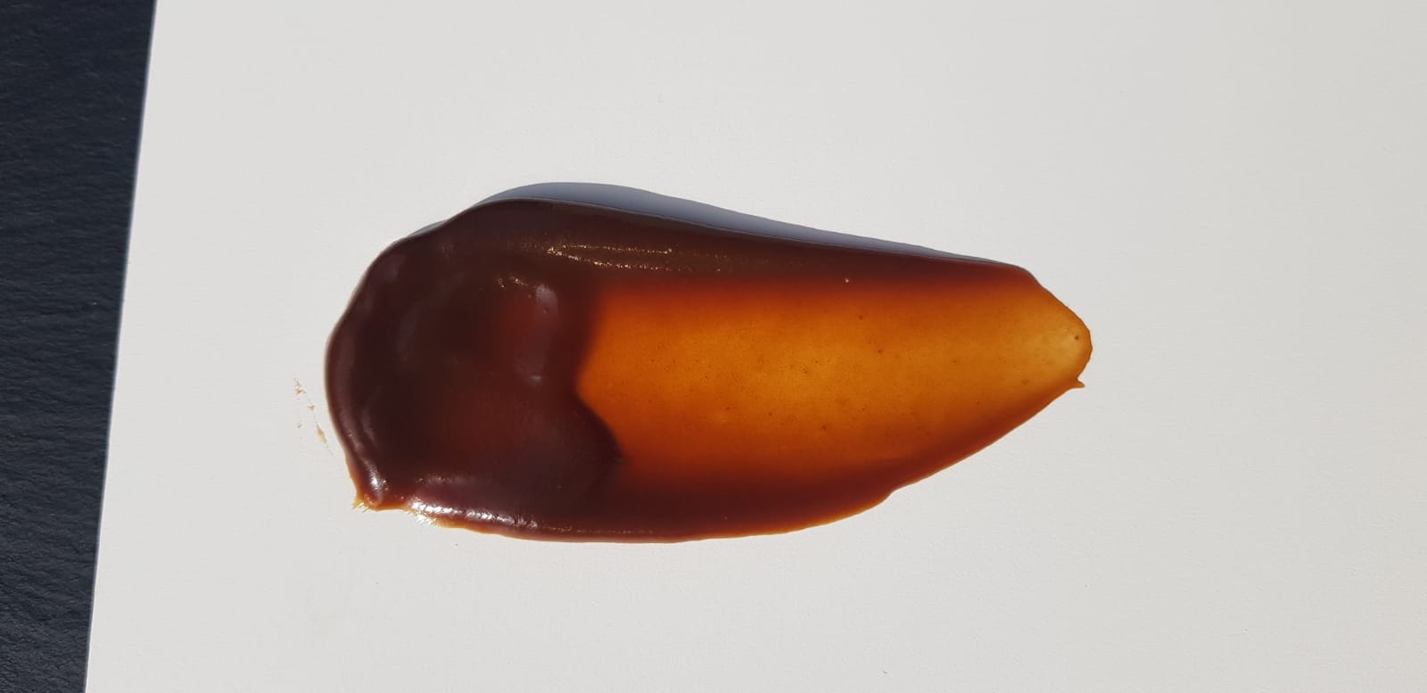 Salsa Dulce de Leche