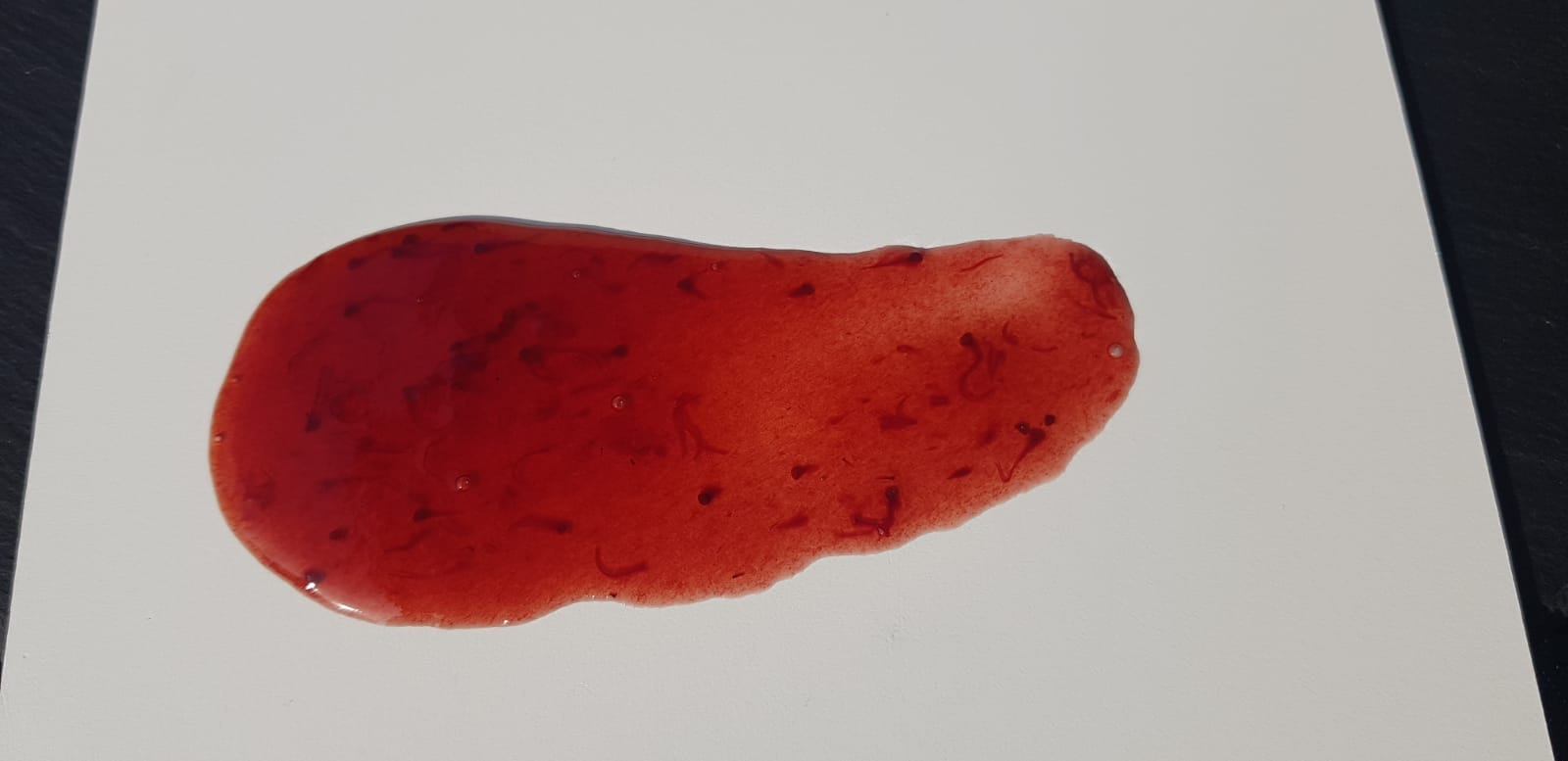 Salsa Frutos Rojos